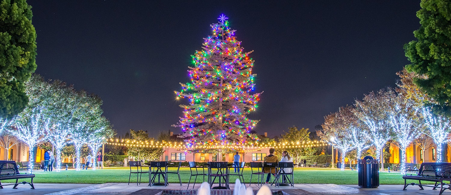 Downtown and public holiday lighting display at night