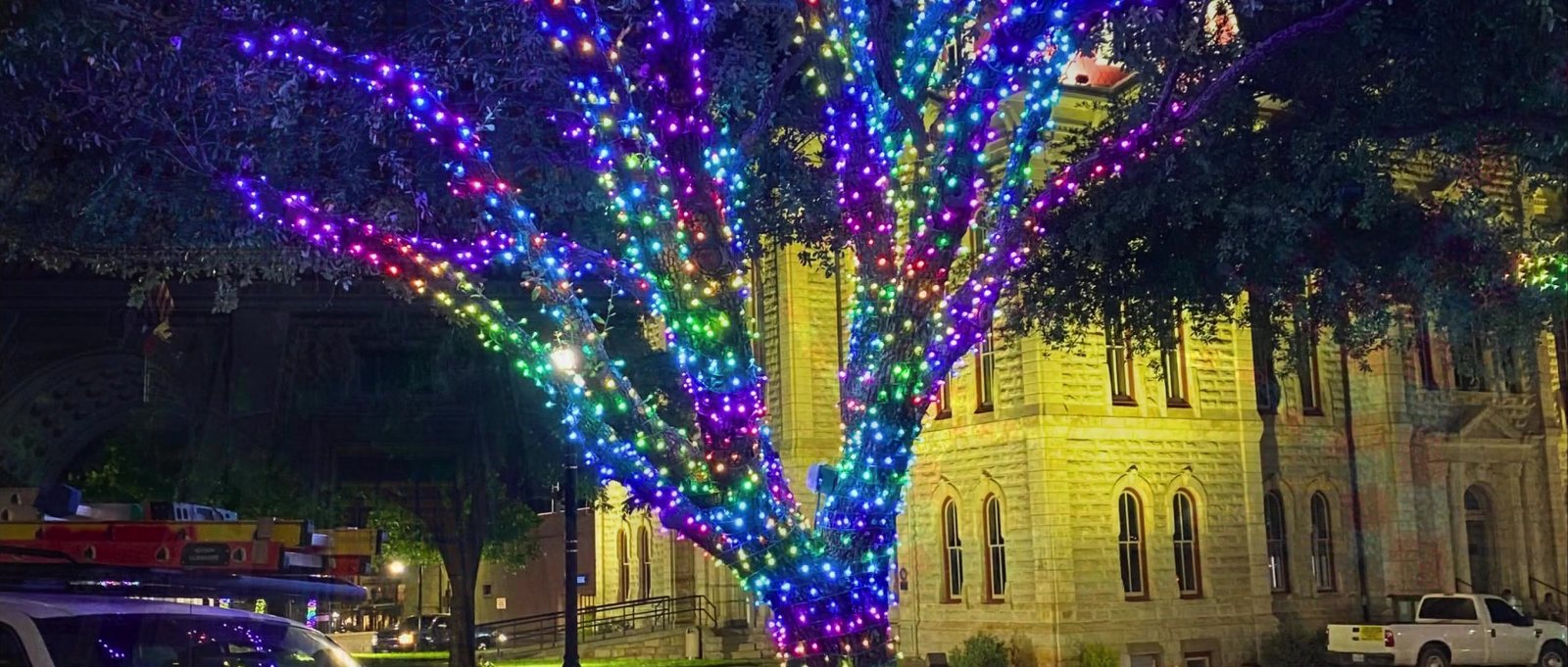 Trees wrapped in commercial-grade LED Christmas lights