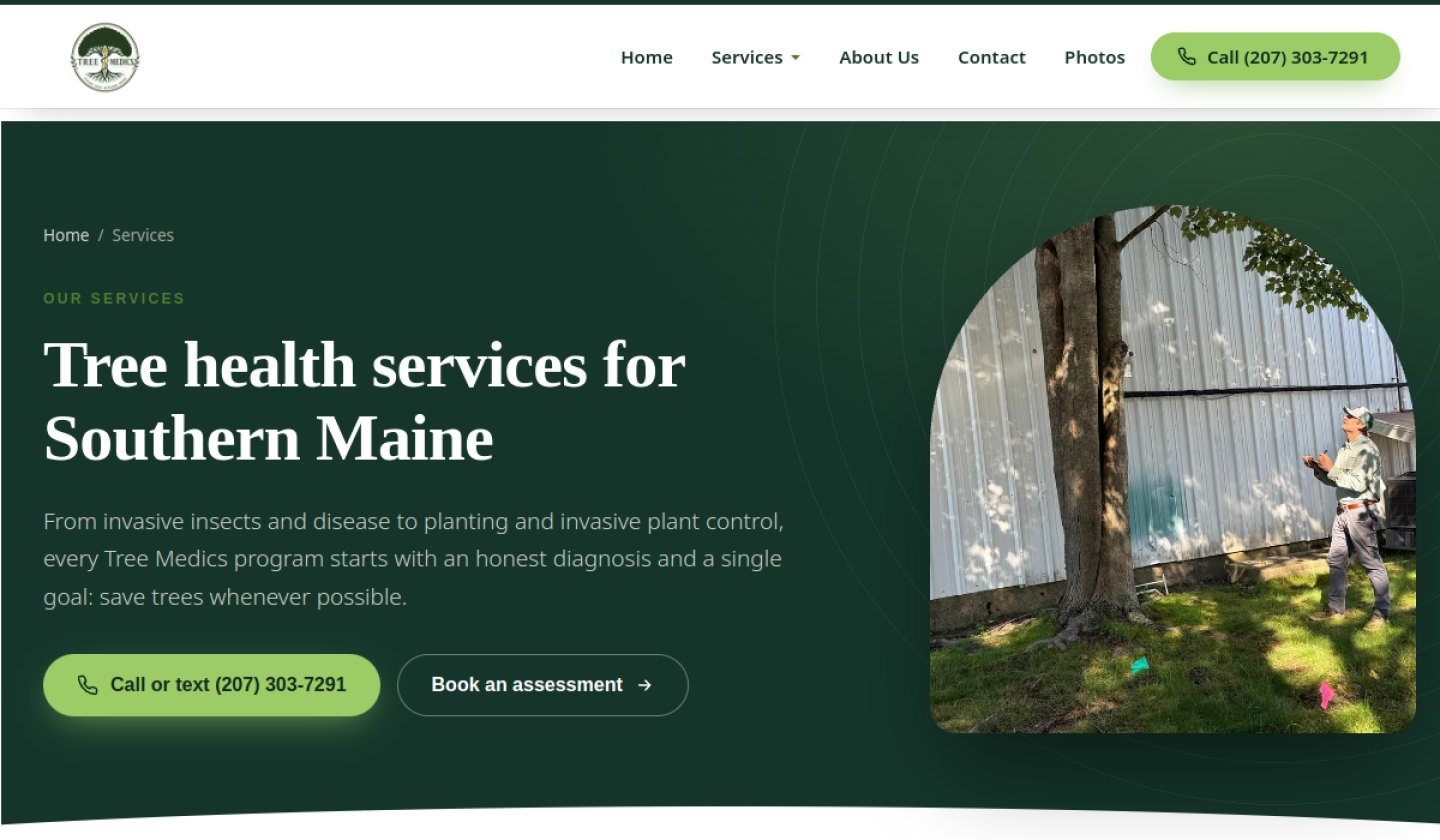 Tree Medics website gallery