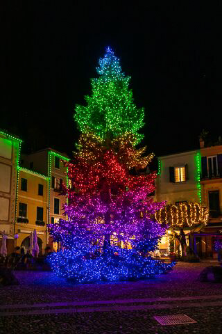 Tree wrapped in mapped multicolor lights