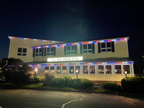 Restaurant & Hospitality Lighting by Curb Infusion 3