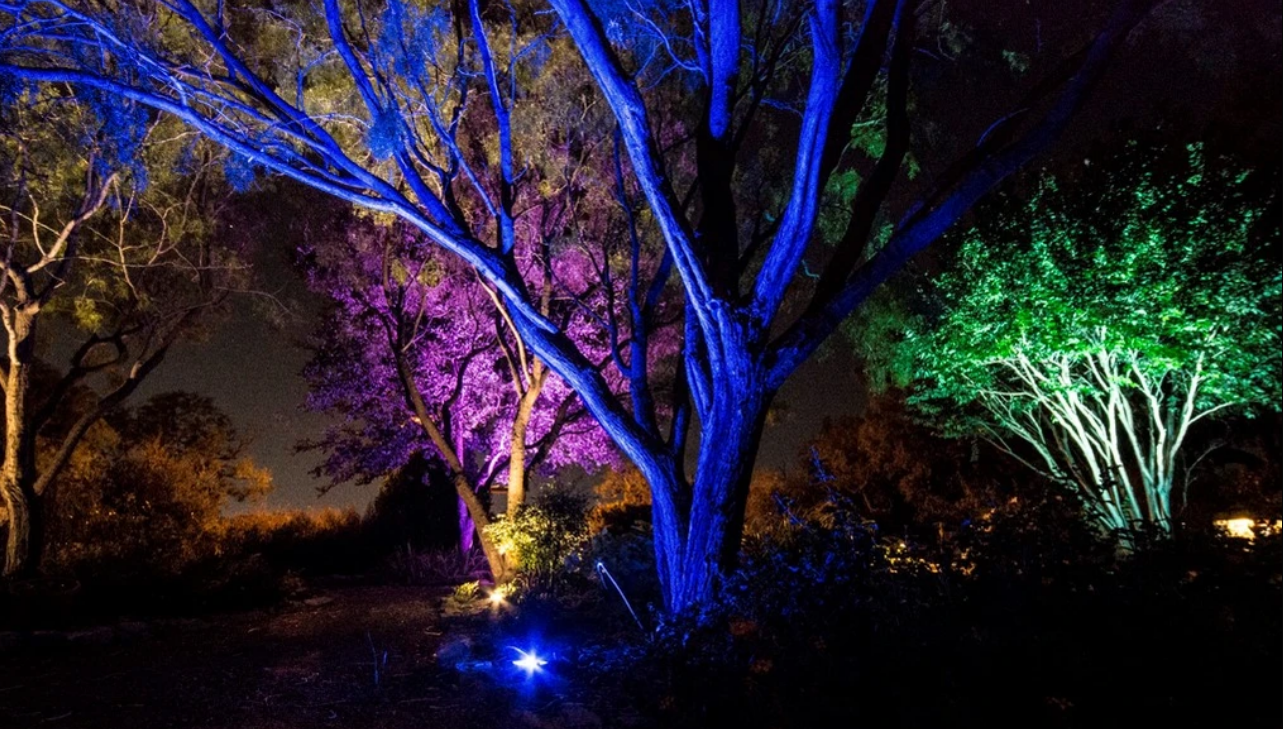 Low-voltage landscape lighting on a home and yard at night