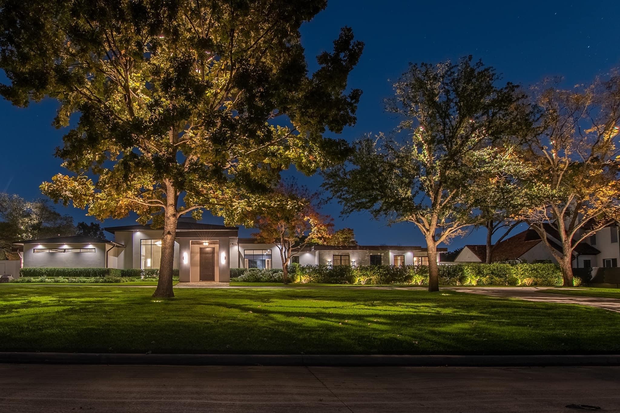Mature trees uplit across a lawn at night