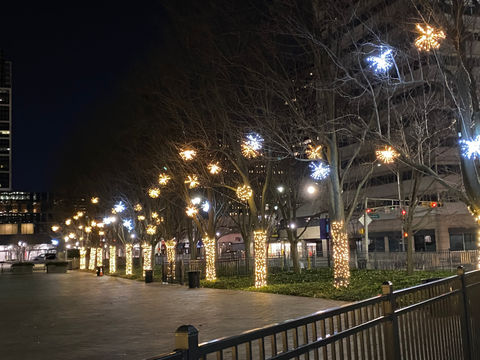 Municipal Lighting Gallery 2