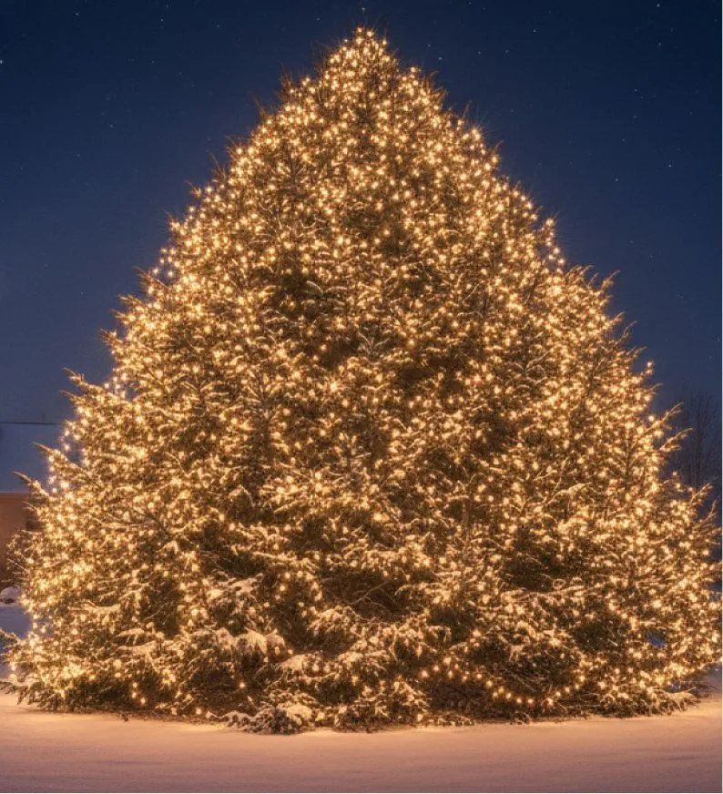 Giant lighted Christmas tree at a public holiday display