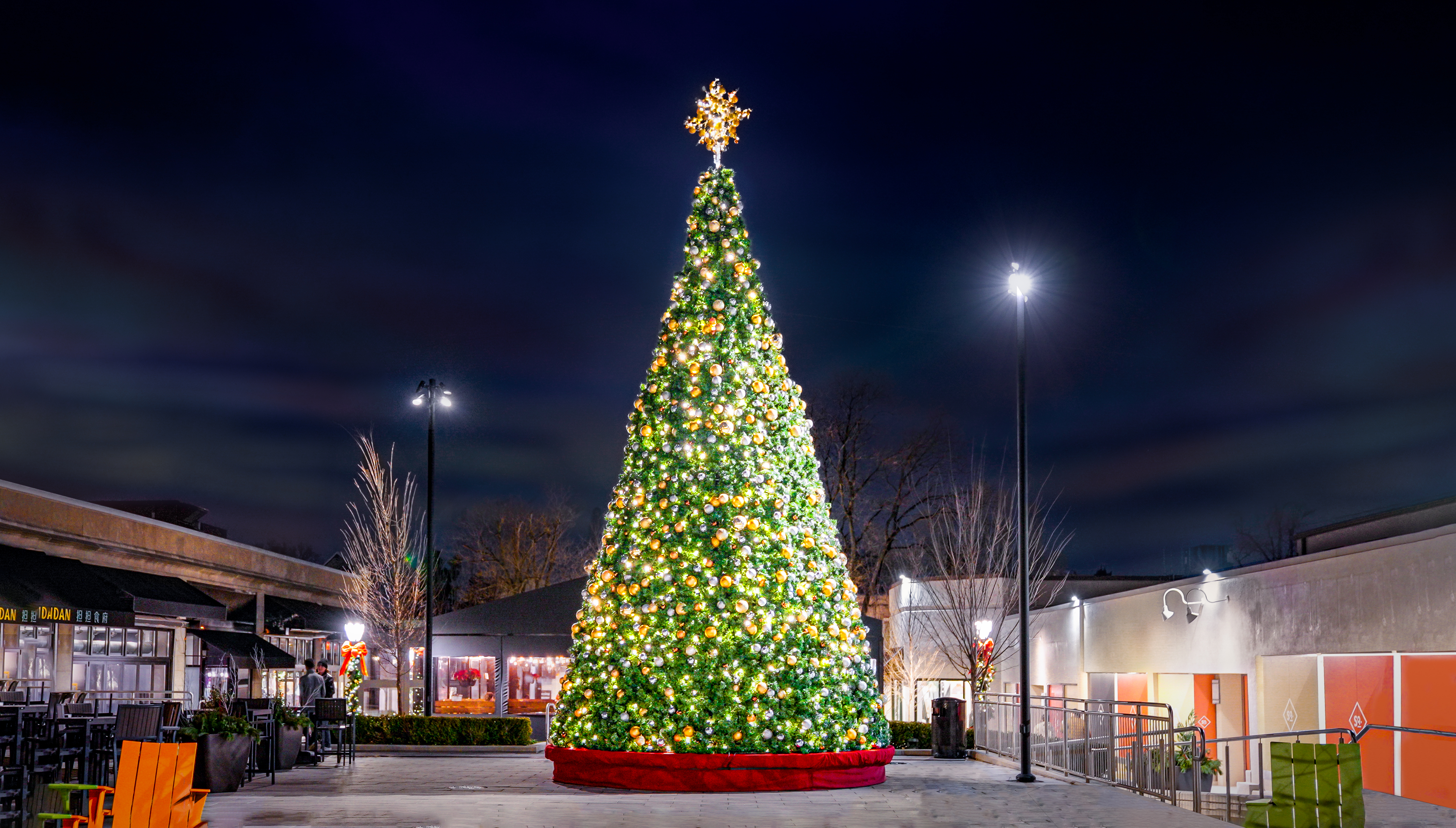 Large lit Christmas tree in a plaza at night