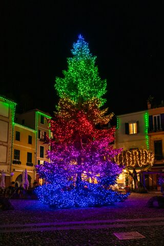 Large tree with mapped multicolor Twinkly Pro lighting