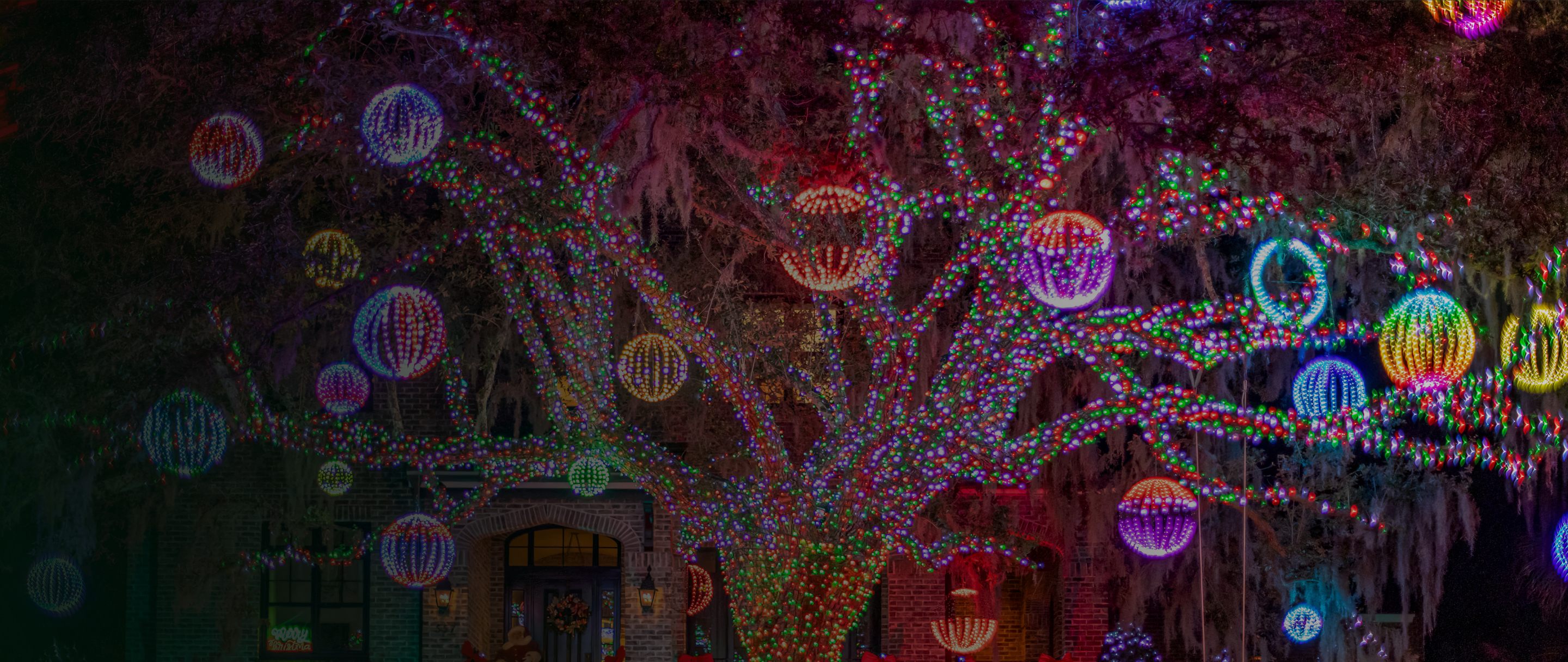 Trees filled with glowing multicolor ornament lights
