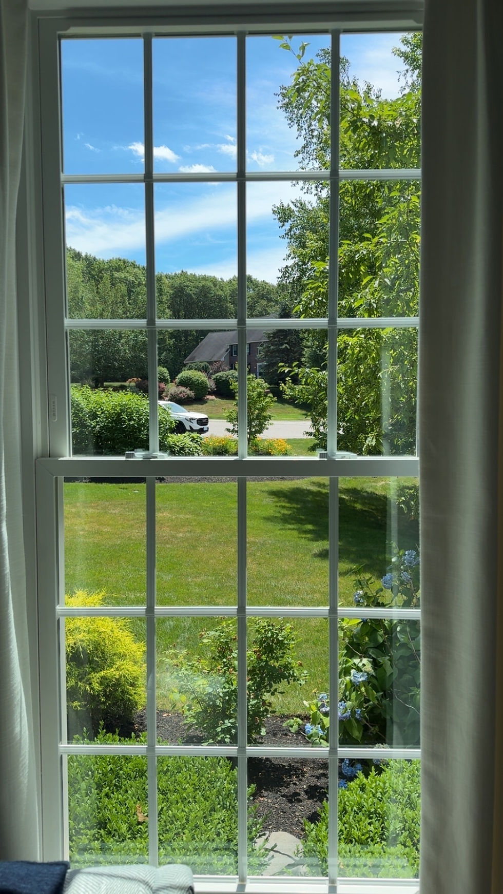 Divided-light window with a clear view of trees and blue sky