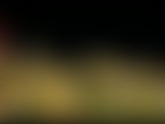 Top Reasons to Hire a Professional Christmas Light Installer in 2023