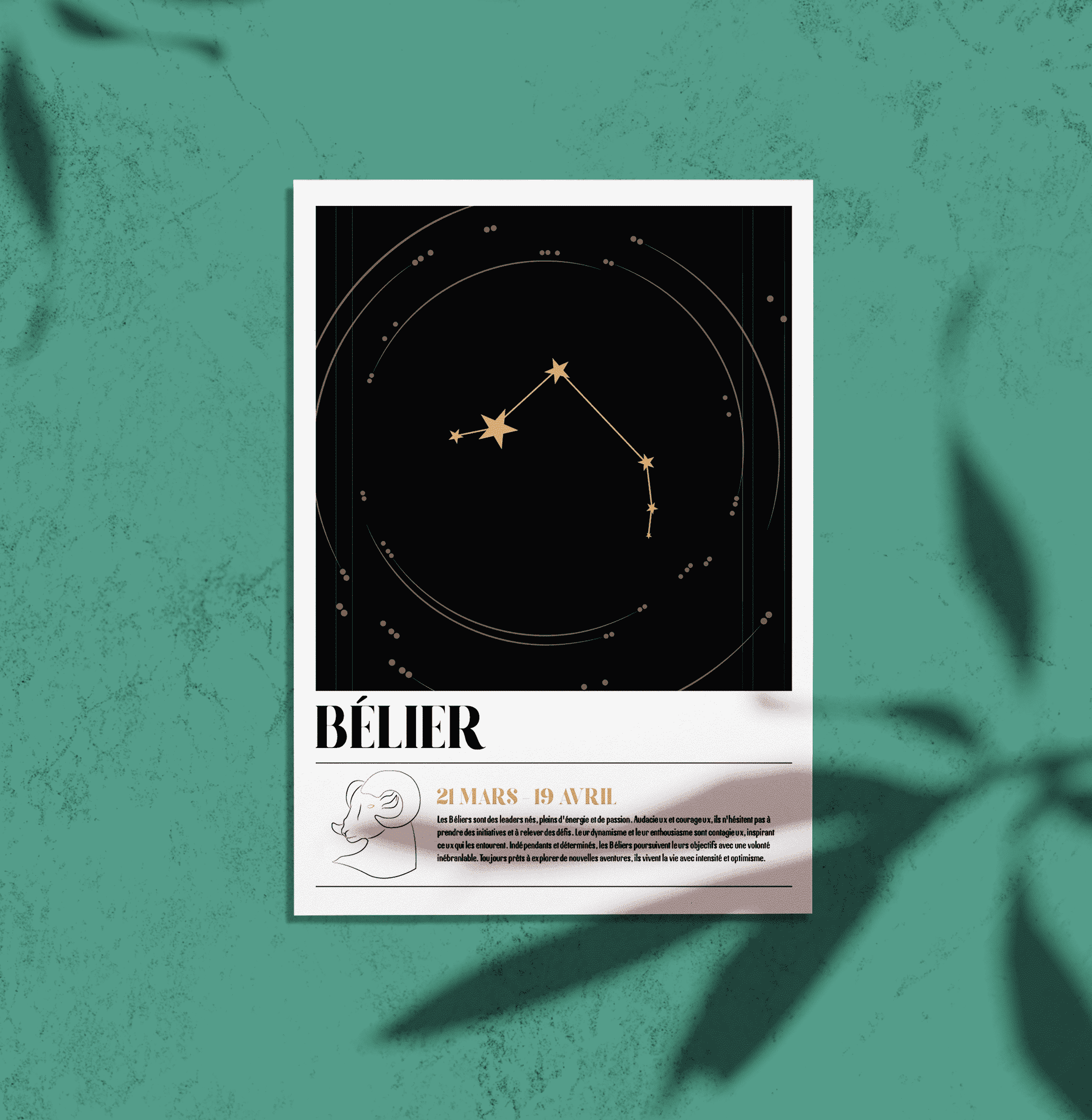 Affiche Astrologie Bélier, un design audacieux et énergique pour célébrer la force du Bélier.