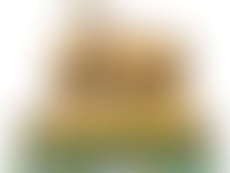 Peanuts by Jim Shore