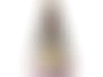 Heartwood Creek by Jim Shore Gnome