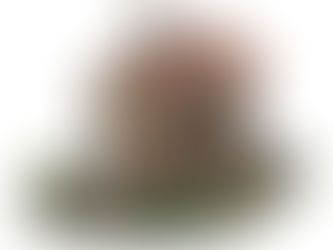 Department 56 Halloween, Swamp Shanty