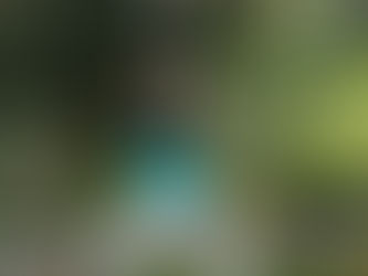 Warrior I & Humble Warrior - Essential Yoga