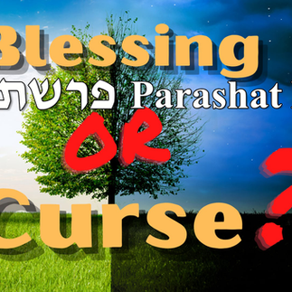 August 8, 2026: Torah Portion Parashat Re'eh - "See!" & HEALTH UPDATE FROM ELIHANA!