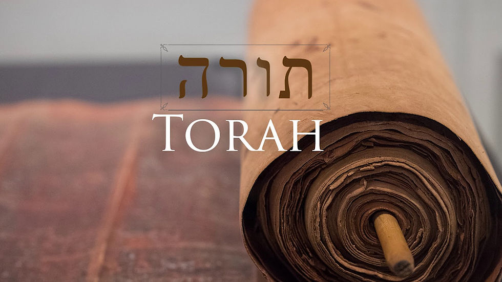 photo of a Torah scroll