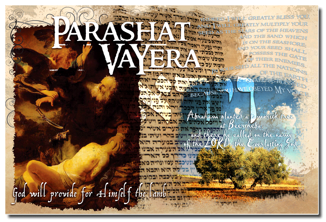 November 4, 2023: Parashat Torah Portion Vayera