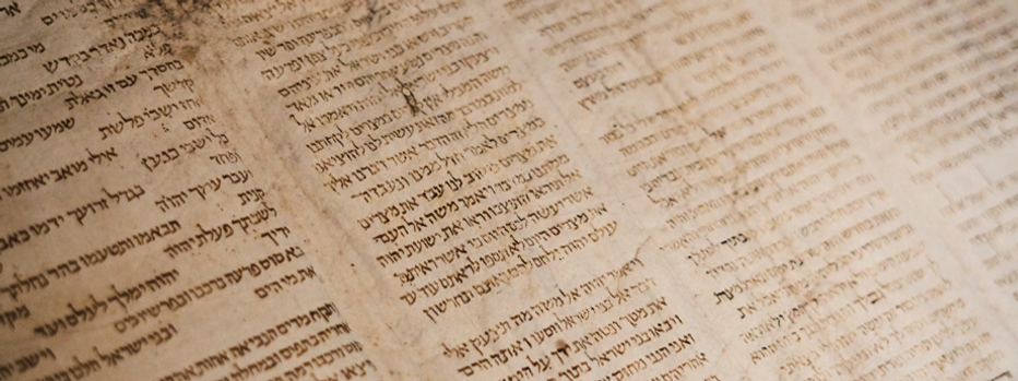 torah-parchment.PNG