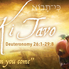September 14, 2025: Torah Portion Parashat Ki Tavo - "When You Come In"
