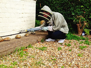 wasp nest air brick, mini dust stick R