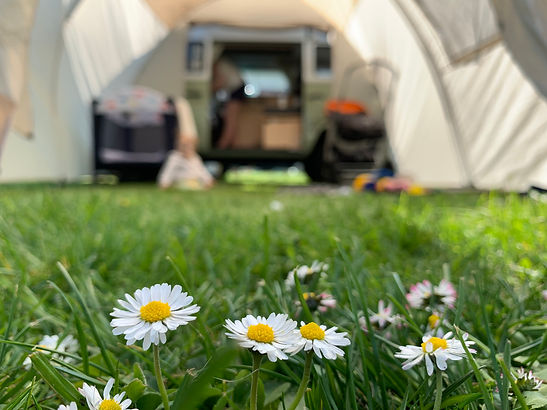 Daisy chain view