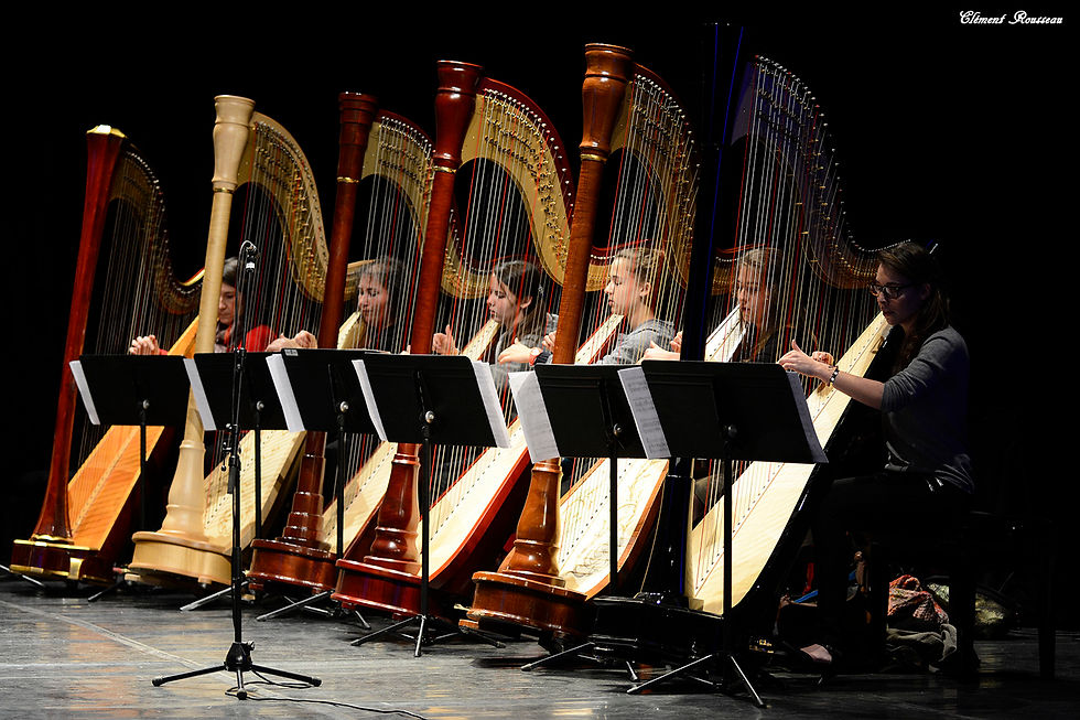 Concert Nouvel An Montauban 2015