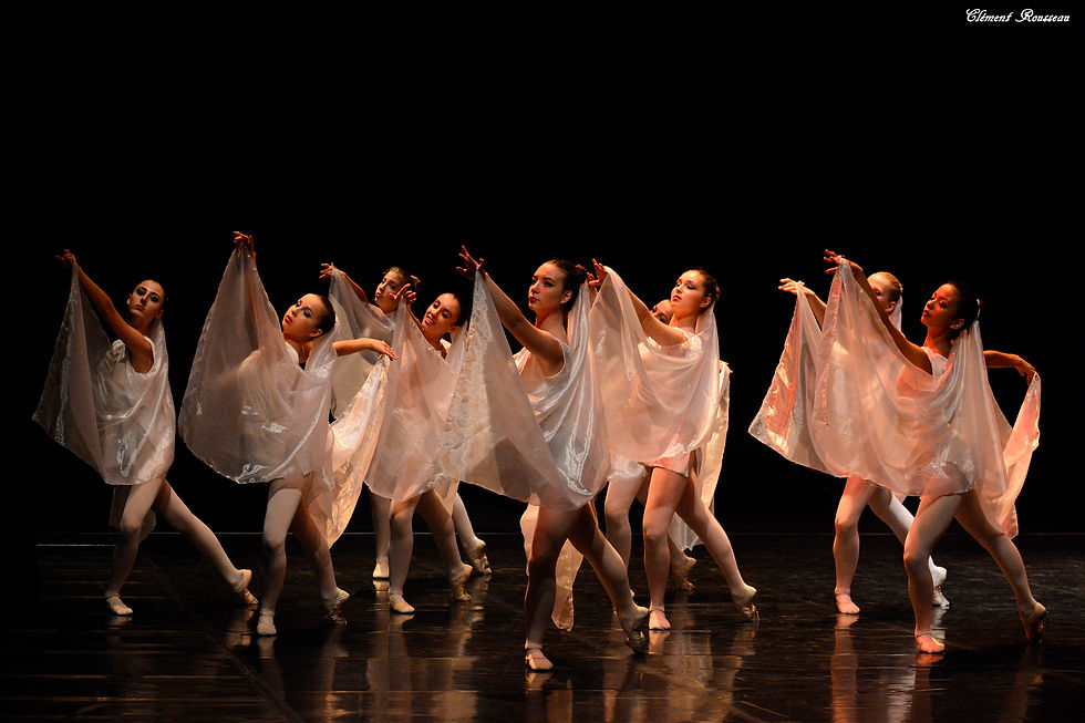 Spectacle Fin d'Année Montauban 2015