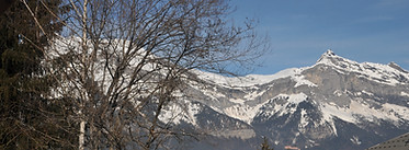 DSC_9959.JPG