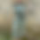 Thumbnail: Combi Fleur Verte