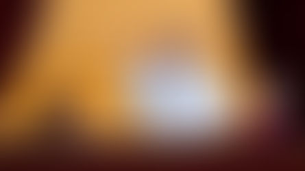 Dez anos de Pontificado de Francisco