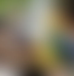 Mutirão da dengue chega ao Bairro Oliveira nesta quinta-feira