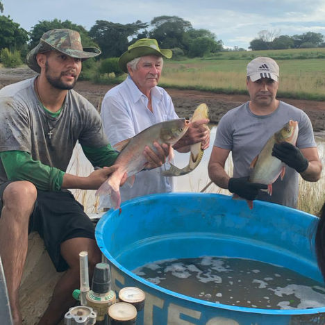 Sem estoque, Feira do Peixe Vivo é cancelada em Cachoeira do Sul