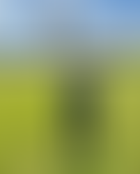 Vereador Felipe Faller anuncia pré-candidatura a deputado federal por Cachoeira do Sul