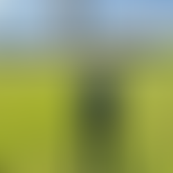 Vereador Felipe Faller anuncia pré-candidatura a deputado federal por Cachoeira do Sul