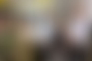 Atrasos em obra e falta de sinalização levam vereadores a cobrar explicações do Estado sobre a ERS-403