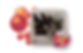 Untitled Project (36).png