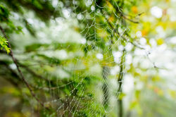 Merrowvista_2016_Shane_639