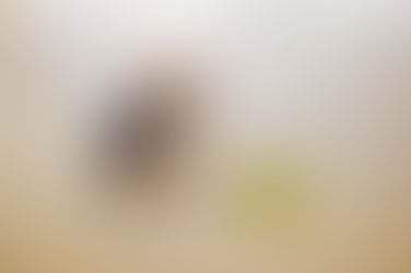 Tuesday Training Byte: House training your puppy