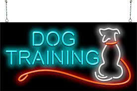 Tuesday Training Byte: Should I send my dog to a trainer?