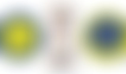 Tuesday Training Byte: Problems with a puppy for Christmas