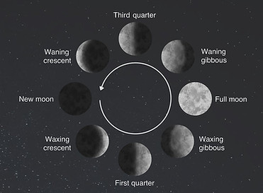 phases of the moon.jpg