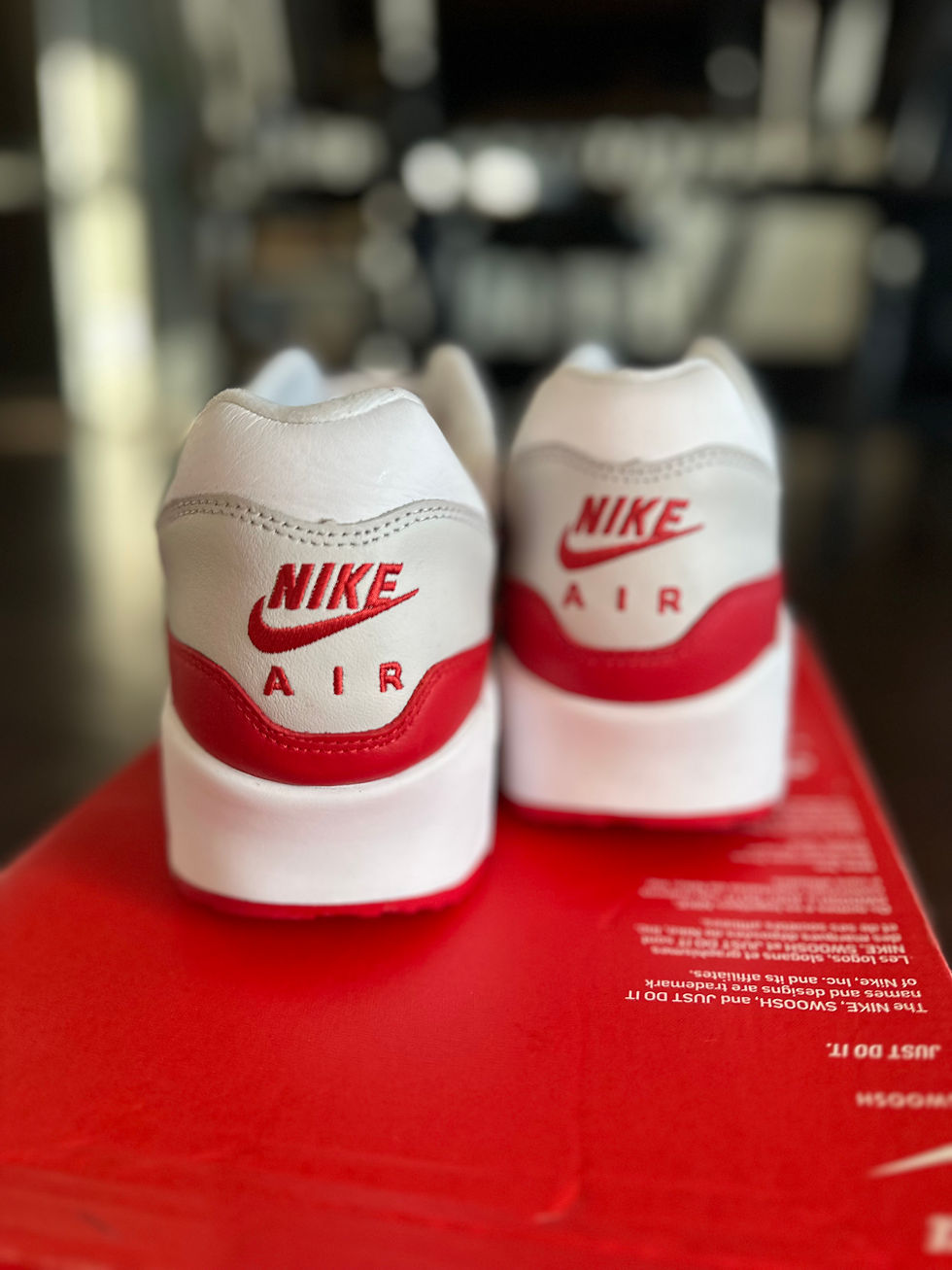 Thumbnail: Nike Air Max 90/1 "Sport Red" (2018)