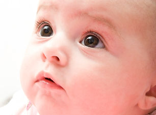 iStock_000012504443_Medium.jpg