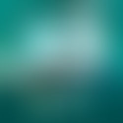 Dia do Médico Veterinário