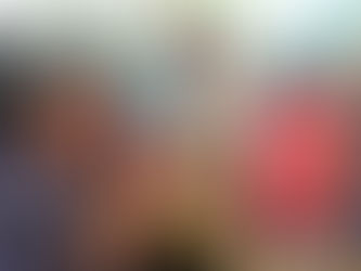 Zooctenista apresenta técnicas de manejo de abelhas sem ferrão