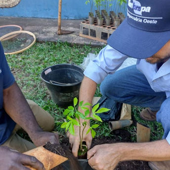Tecnologias ajudam comunidades quilombolas sul-mato-grossenses