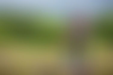 Incra supera a marca de 400 mil documentos de titulação emitidos