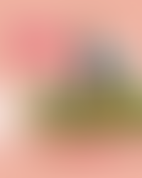 Dia Internacional da Mulher