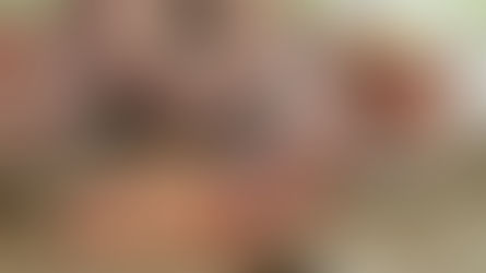 Farinha à base de castanha-do-brasil apresenta teor de proteína 60% superior à de trigo